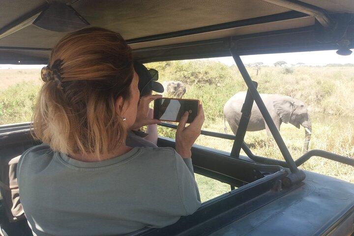 3-Days Budget Lodge Safari - Tarangire, Ngorongoro & Lake Manyara
