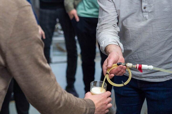 Craft Beer and Brewery Tour in Iceland