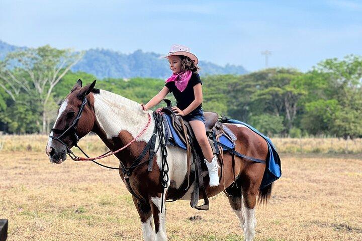 Jaco Beach Horseback Riding Tour
