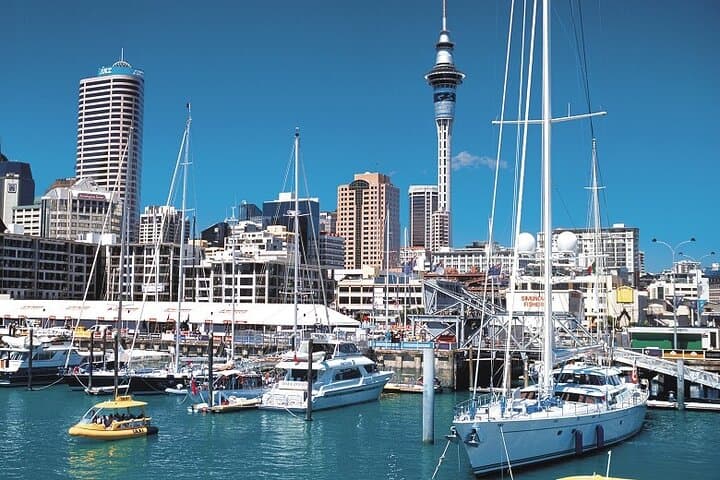 1 Night Auckland - Departure Option with Auckland Sightseeing