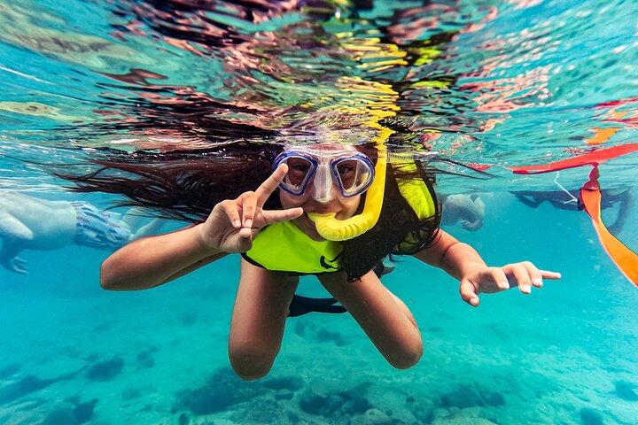 Turtle Snorkeling Tour in Tres Trapi, Aruba