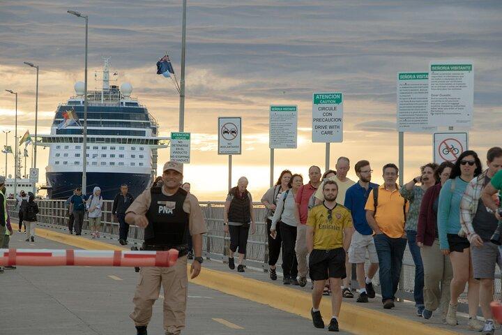 Shore Excursion Punta Tombo cruise passengers Puerto Madryn