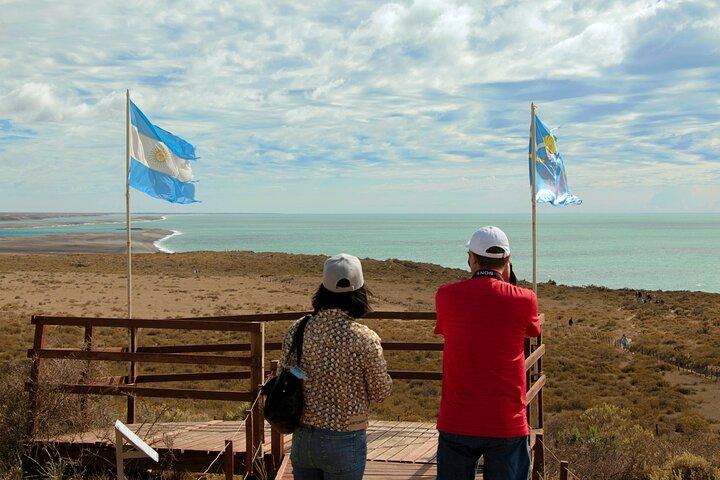 Full Day Peninsula Valdes Experience - optional Whale Watching