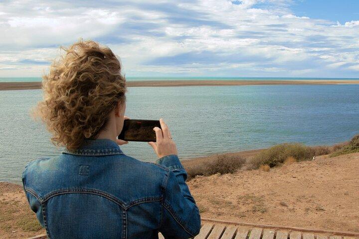 Full Day Peninsula Valdes Experience - optional Whale Watching