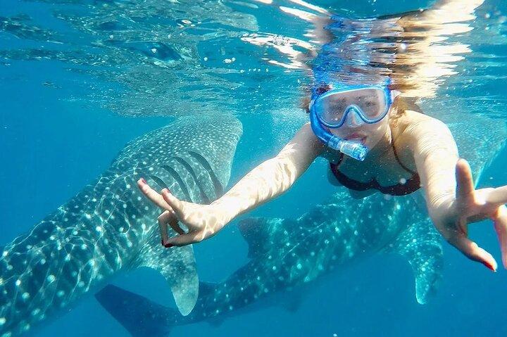 Whale Watching in Sumilon Island with Ocean View Resort Tour