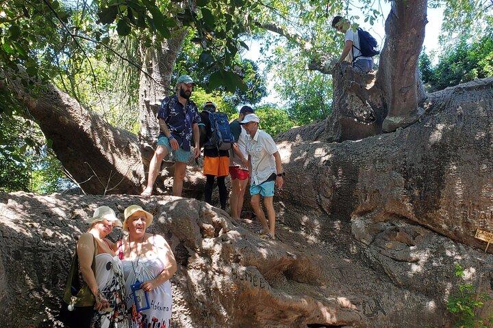 Full Day Safari Blue Sea Adventure in Zanzibar
