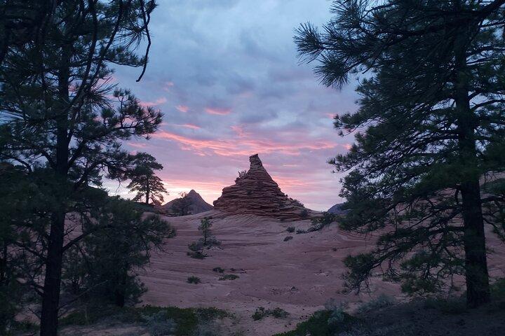 Zion National Park/Kolob Terrace Private 1/2 Day Sightseeing Tour