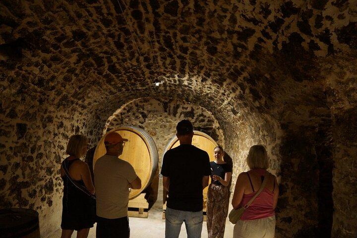 Champagne Tour and Tasting with a friendly guide in Marne Valley