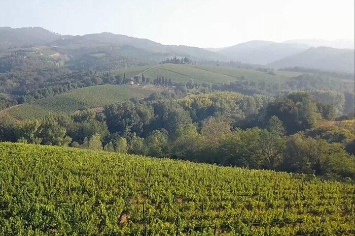 Tuscany Grand Tour from Florence: Pisa,Chianti Wine Tasting,Siena