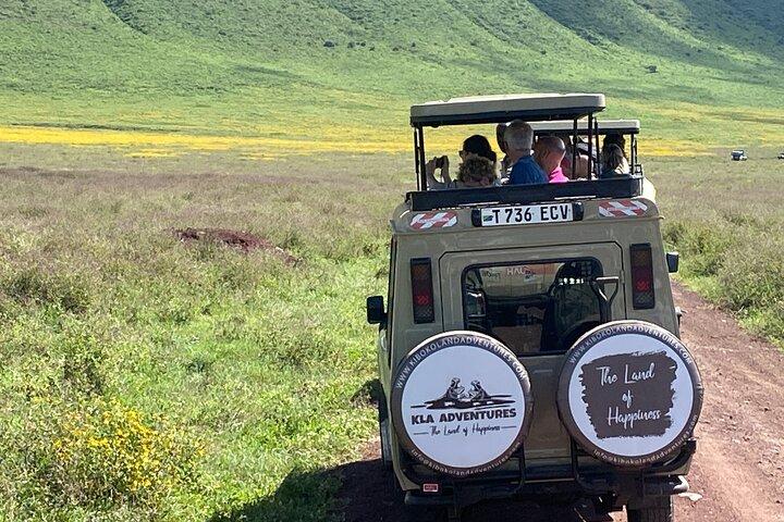 4 Days Private Tour Tarangire Crater and Serengeti