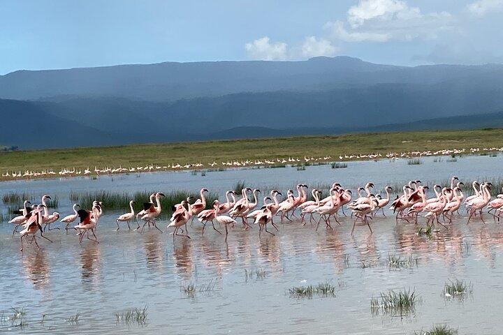 4 Days Private Tour Tarangire Crater and Serengeti