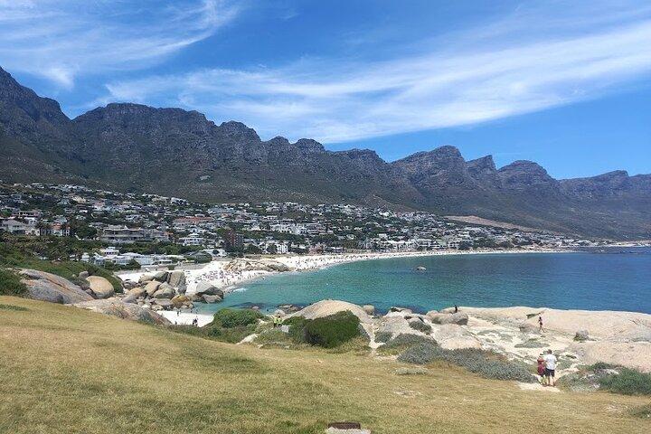 Table Mountain, Penguins & Cape of Good Hope Small Group Tour