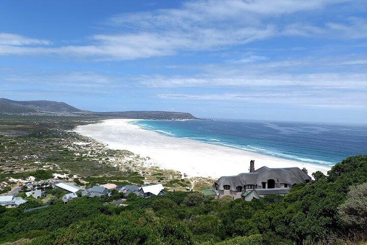 Table Mountain, Penguins & Cape of Good Hope Small Group Tour