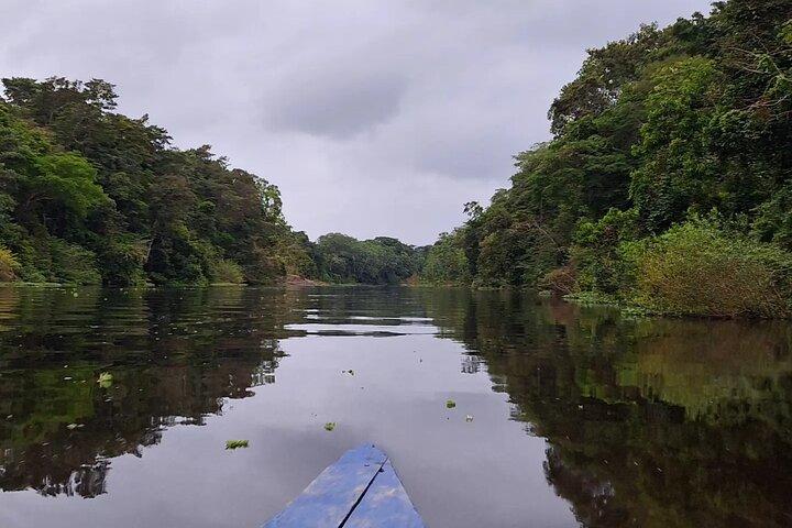 Full Day Adventures Pacaya Samiria National Reserve