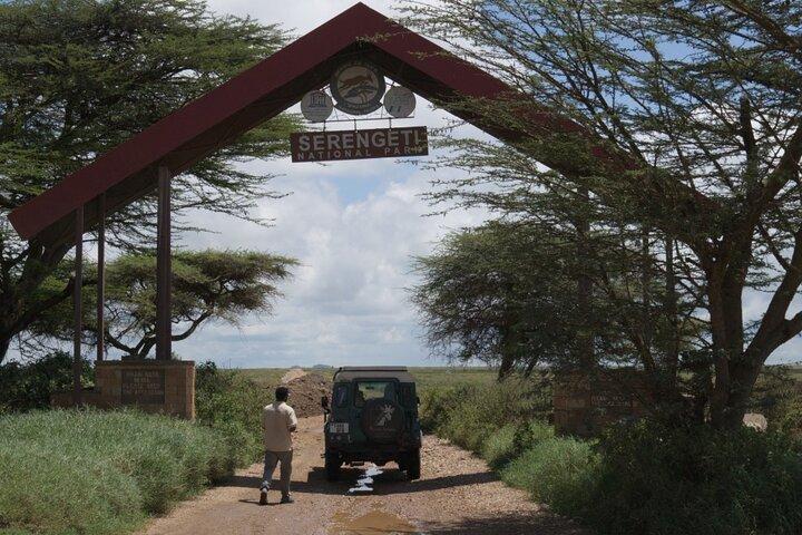 Tanzania Safari Tour