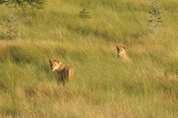 Tanzania Safari Tour