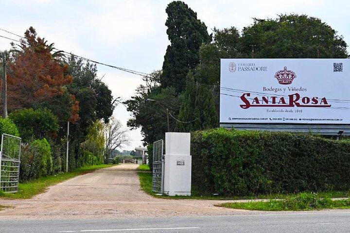 Montevideo Bodega Santa Rosa : tour - Tasting - Lunch