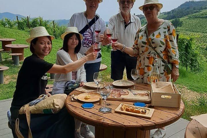 Parma: Parmigiano dairy, Parma Ham, & Wineyard Tour with Tastings