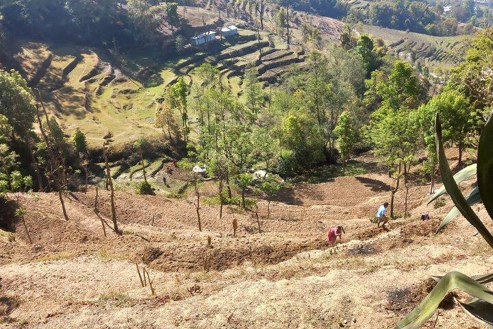 Nagarkot Full-Day Hiking Tour from Kathmandu