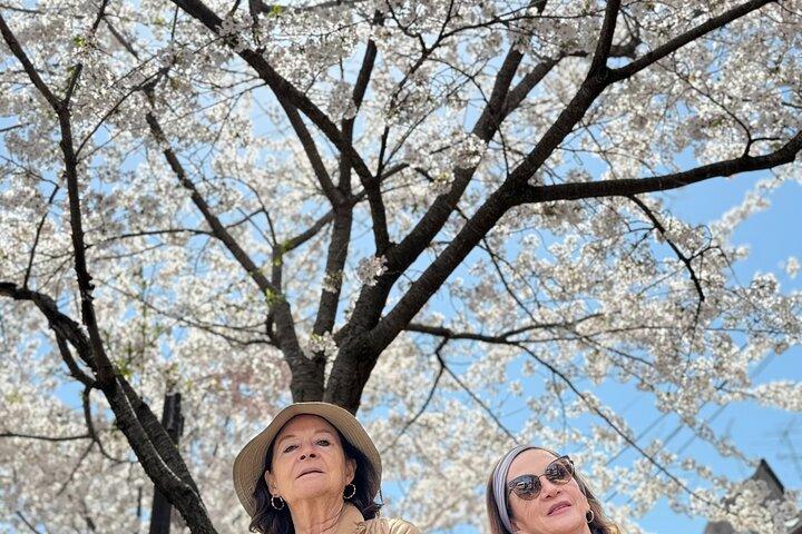 Kyoto Exploration with an Accredited Government Guide