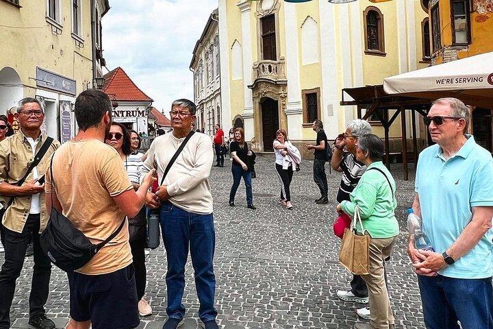 Visit in Szentendre (Living Heritage)