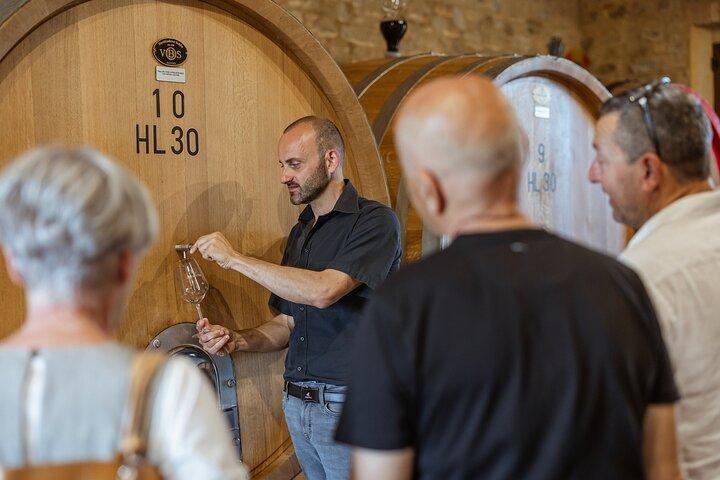 From Montalcino Pasta Class with Brunello Tasting and Lunch