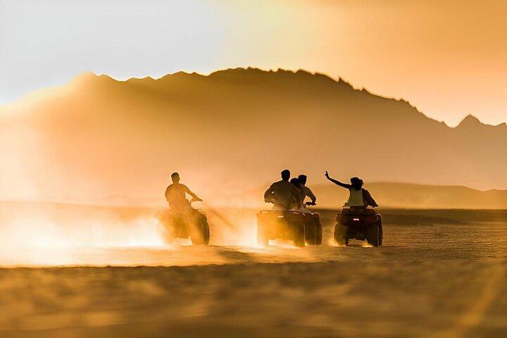 Agafay Quad Bike, camel ride, sunset, dinner & show
