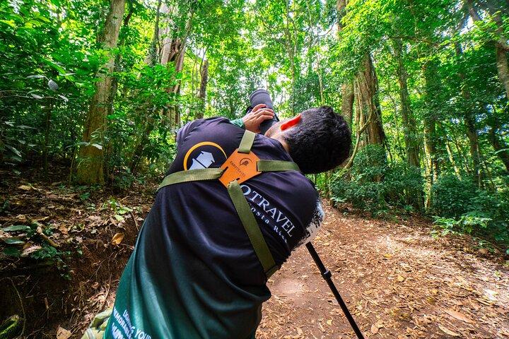Monteverde Cloud Forest Reserve Guided Walk