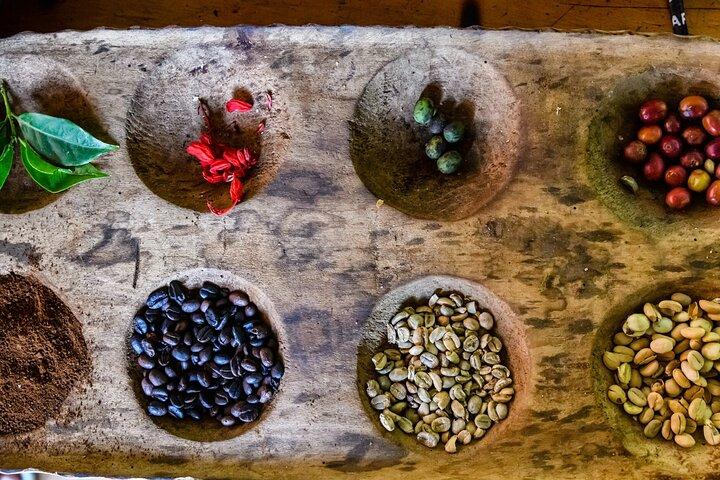 Bean to Cup: Traditional Coffee Preparation in Arusha