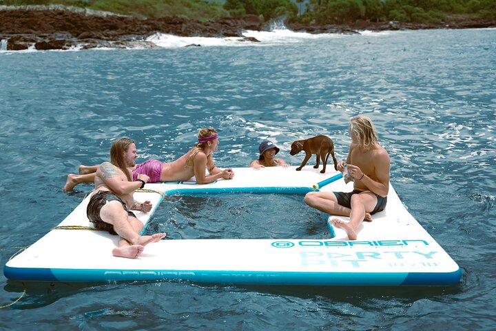 2 Hour Big Island Dolphin Watching and Sea Turtle Snorkel Tour