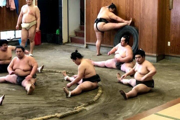 Tokyo 5hr Private Tour & Sumo Wrestler Morning Practice Viewing