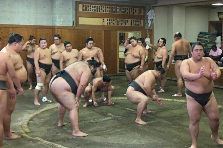 Tokyo 5hr Private Tour & Sumo Wrestler Morning Practice Viewing