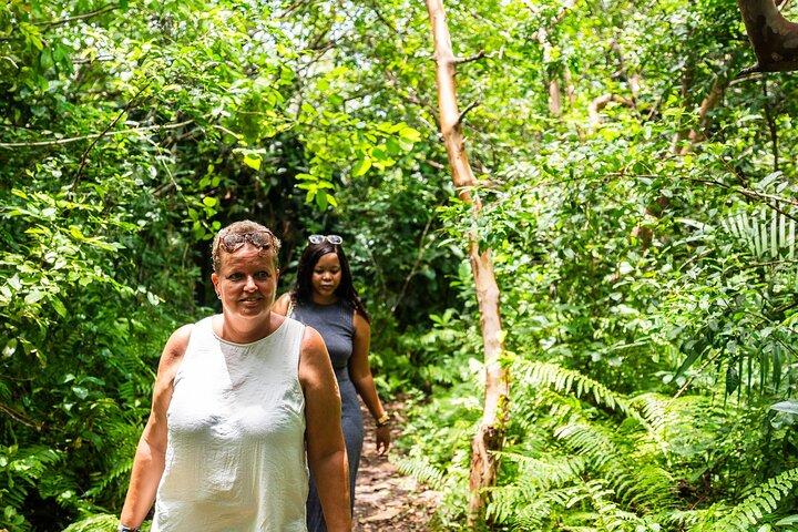 Zanzibar: Jozani Forest Guided Tour, Red Colobus and transfer