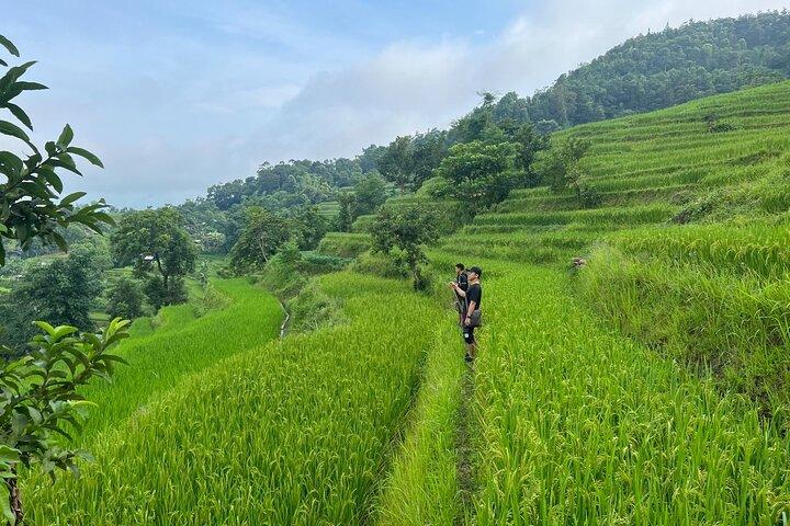 3 Days Private Hiking Tour in Sapa, Lao Cai
