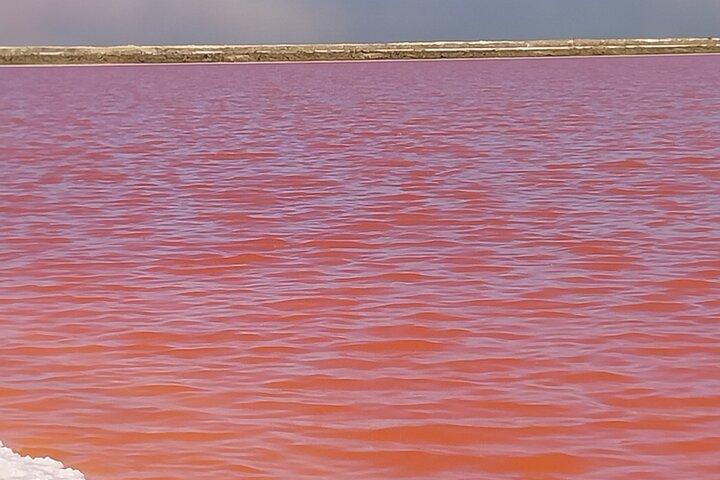 Seal Kayaking at Pelican Point from Walvis Bay