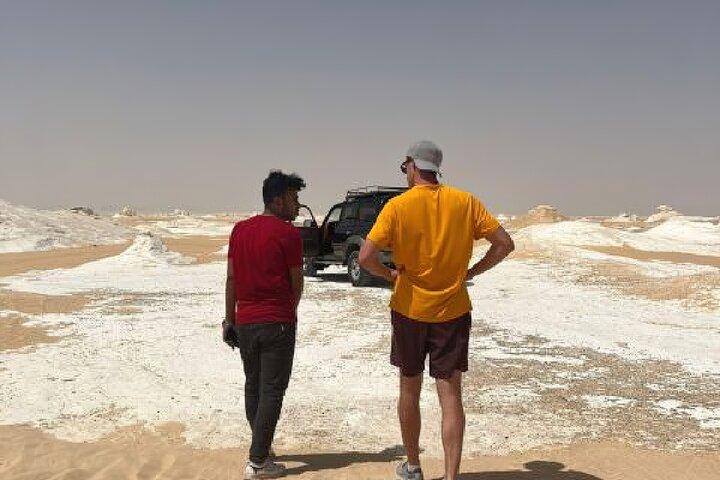 1 Night 2 Days Bahariya Oasis Camp and Desert Tour in Cairo
