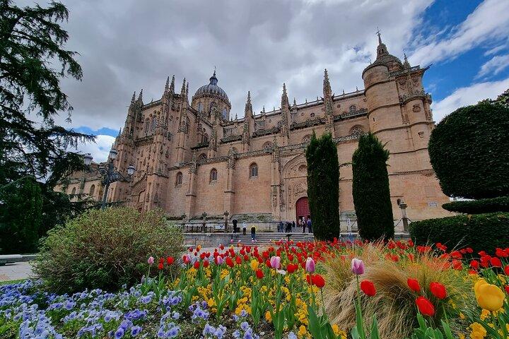 Salamanca and Avila Private Tour from Madrid with Hotel Pickup