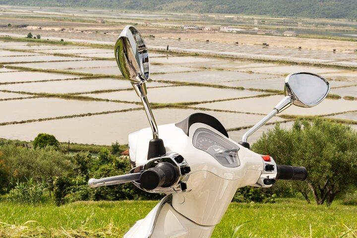Half Day Vespa Countryside Tour and Tastings in Istria