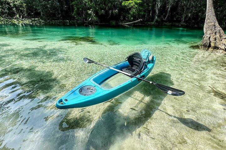 Silver Springs Glass Bottom Kayak SMALL GROUP Wildlife Tour