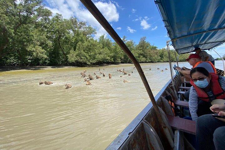 Floating & Railway Markets (Optional Mangrove Visit) Private Tour