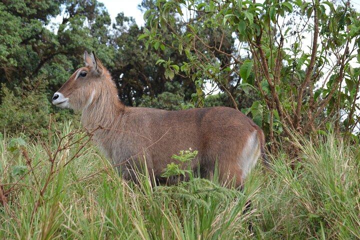 Arusha to Tarangire: A Journey Through Culture and Wilderness