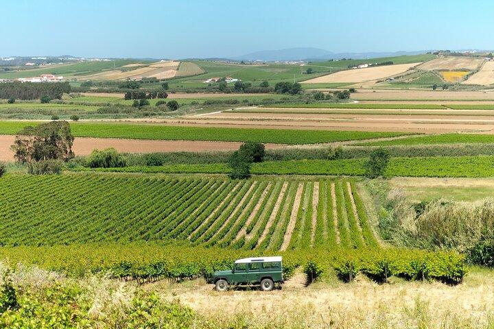 Winery, Tastings & 4x4 Vineyards Tour, Half Day Trip from Lisbon