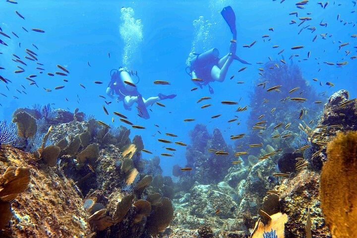 Kauai Scuba Diving for Beginners