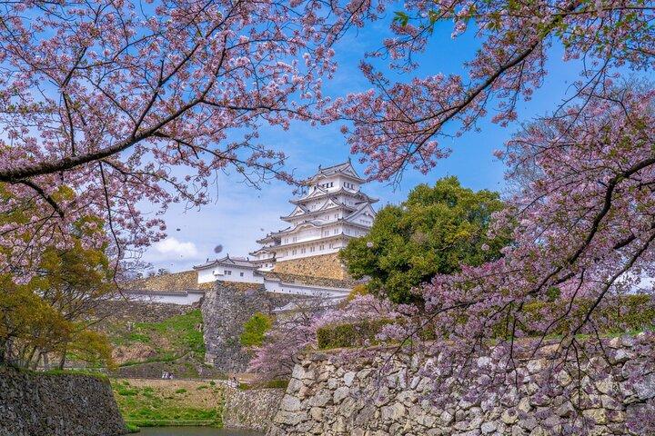 Private Customize Tour Himeji from Osaka