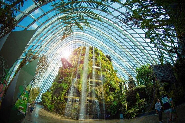 Gardens by the Bay Guided Tour