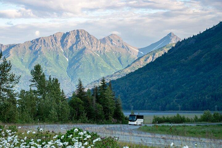 Anchorage to Whittier Wildlife Adventure