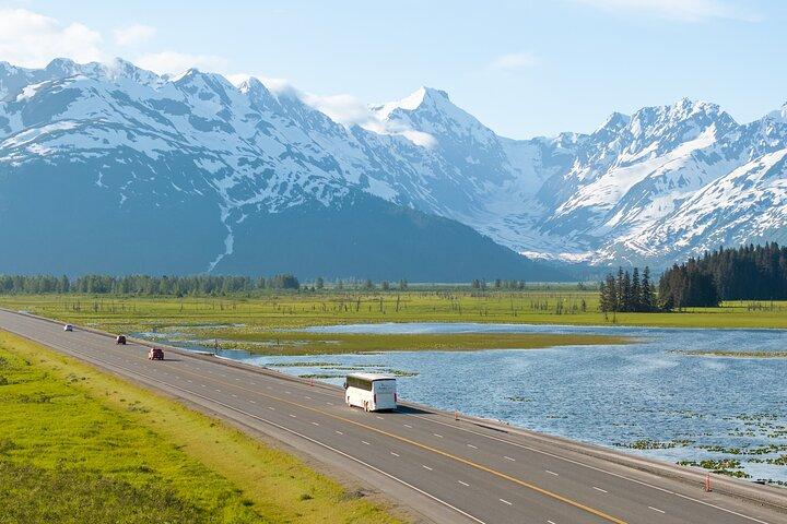 Anchorage to Seward Wildlife Adventure