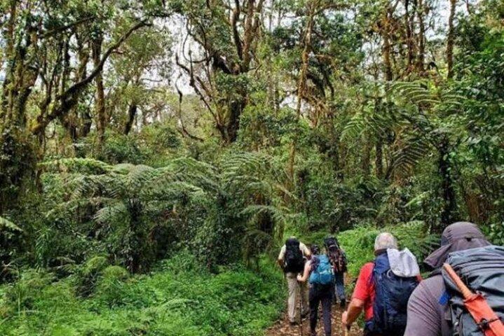 Day trip to mount Kilimanjaro from Moshi