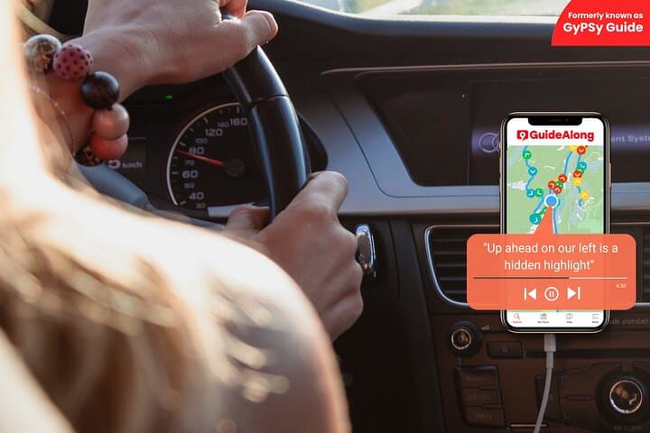 Self-Guided Driving Audio Tour in Joshua Tree National Park