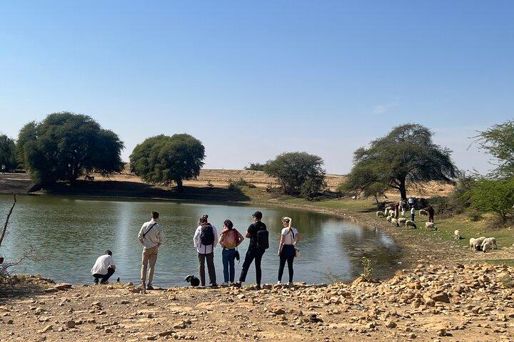 Non-Touristic overnight Camel Safari
